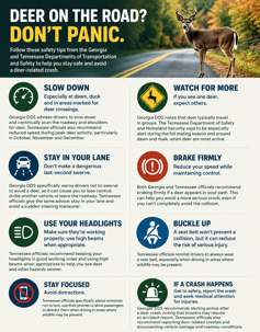 Deer Caused Crash Infographic